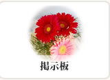 掲示板