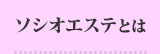 ソシオエステとは